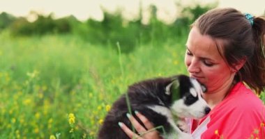 Dışarıda sevimli, iri yarı yavru köpekle oynayan bir kadın. Evcil hayvan ve sahibinin aşkı. Yüksek kalite 4k görüntü