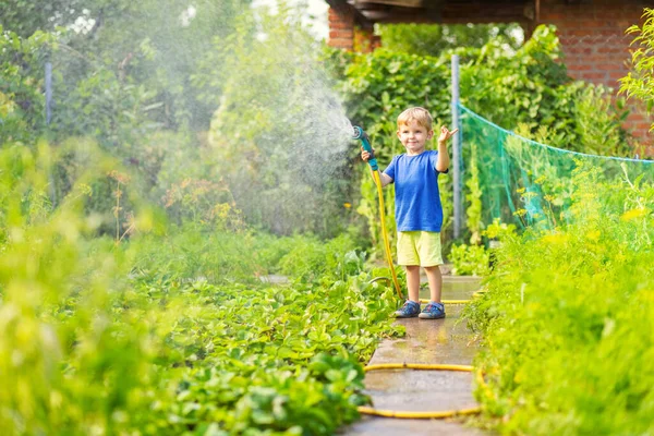 Child Watering Flowers Plants Garden Kid Water Hose Sunny Blooming — Stock Photo, Image