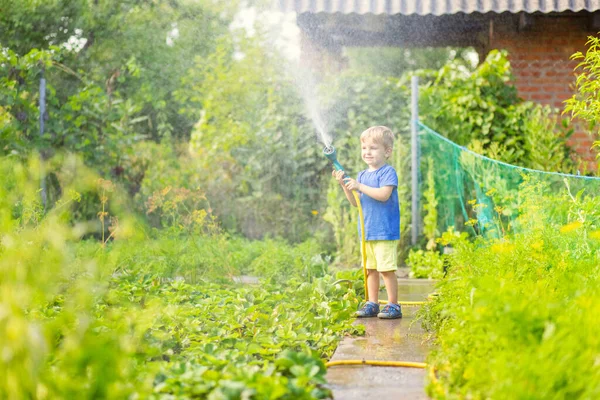 Anak Kecil Menyiram Bunga Dan Tanaman Kebun Anak Dengan Selang — Stok Foto