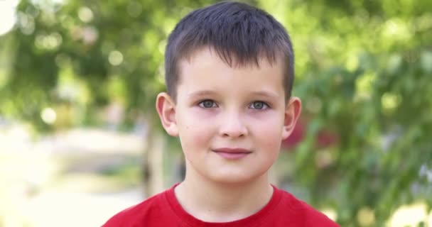 Портрет Маленького Хлопчика Стоїть Сонячному Парку Відкритому Повітрі Дитина Посміхається — стокове відео