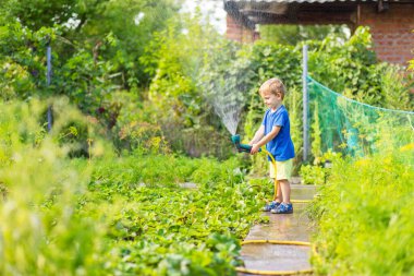 Bahçede çiçekleri ve bitkileri sulayan çocuk. Güneşli bahçesinde su hortumu olan bir çocuk. Küçük çocuk bahçeyle uğraşıyor. Çocuklar ebeveynlere yardım