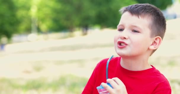어린아이는 공원에서 음료수를 마시고 과자를 먹는다 고품질 — 비디오