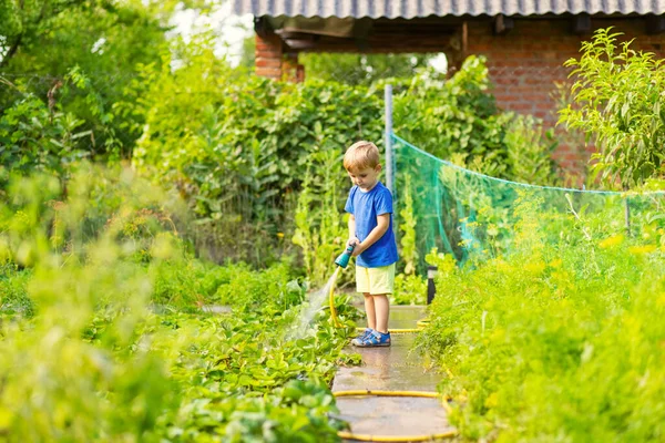 Anak Kecil Menyiram Bunga Dan Tanaman Kebun Anak Dengan Selang — Stok Foto