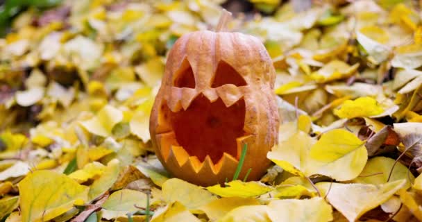 秋に黄色の葉に目と口を刻まれたハロウィーンの怖いカボチャ 高品質4K映像 — ストック動画