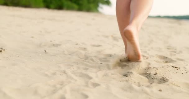Pies Mujer Caminando Descalzos Playa Arena Mar Pie Mujer Joven — Vídeos de Stock