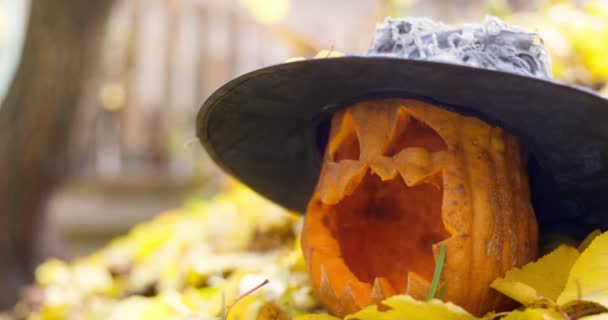Halloween Strašidelný Dýňový Klobouk Vyřezávanýma Očima Ústy Spadlém Žlutém Listoví — Stock video