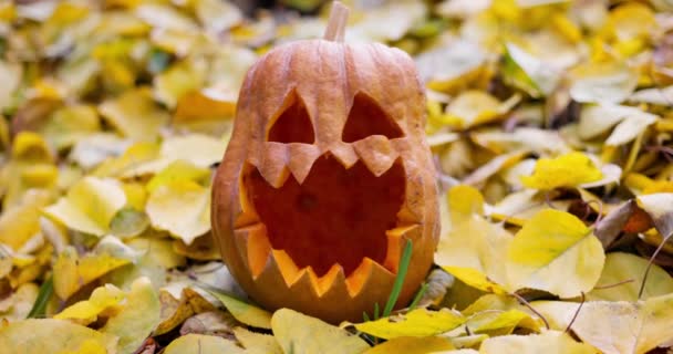 Halloween Calabaza Aterradora Con Los Ojos Tallados Boca Las Hojas — Vídeos de Stock
