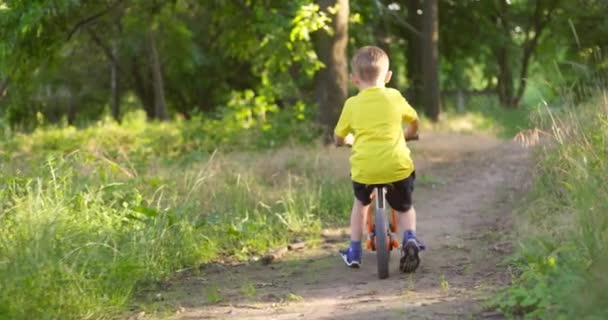 여름철 방학때는 자전거를 돌아다닌다 아이는 밖에서 자전거를 운전하는 좋아한다 활동을 — 비디오