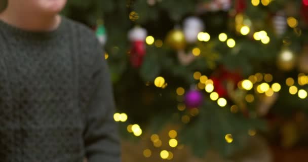 Mãos Dos Pais Dando Presente Natal Para Criança Fundo Árvore — Vídeo de Stock
