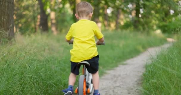 Børnetur Cykel Gennem Skoven Sommerferier Knægten Nyder Køre Cyklen Udendørs – Stock-video