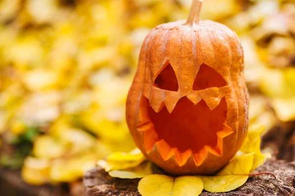 Halloween Tök Csonkon Ellen Sárga Levelek Parkban Vagy Erdőben Ősszel — Stock Fotó