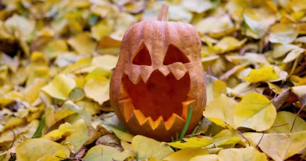 秋に黄色の葉に目と口を刻まれたハロウィーンの怖いカボチャ 高品質4K映像 — ストック動画