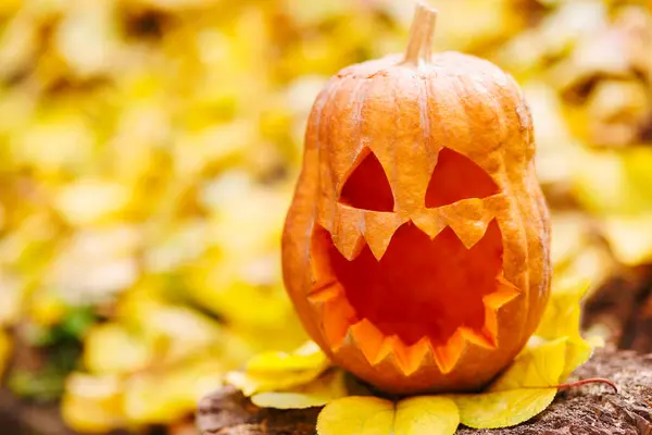 Halloween Tök Csonkon Ellen Sárga Levelek Parkban Vagy Erdőben Ősszel — Stock Fotó