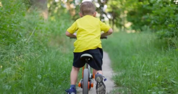 Przejażdżka Rowerem Lesie Letnie Wakacje Dzieciak Lubi Jeździć Rowerze Zewnątrz — Wideo stockowe