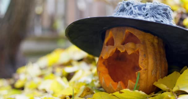 万圣节的南瓜帽 下垂的黄叶上有雕刻的眼睛和嘴 高质量的4K镜头 — 图库视频影像