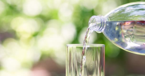 Чиста Вода Наливається Склянку Пляшки Зеленому Фоні Природи Клянуться Спрагою — стокове відео