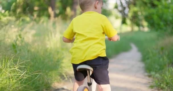 Barncykling Genom Skogen Sommarsemester Ungen Njuta Att Köra Cykeln Utomhus — Stockvideo