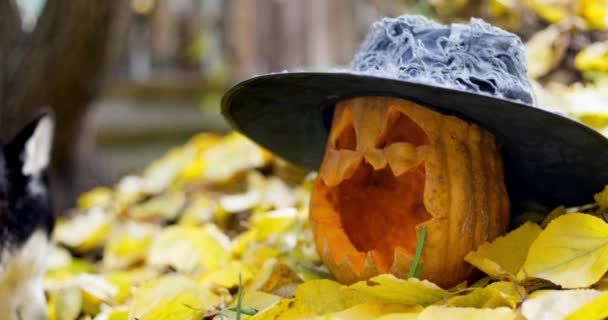 Halloween Scary Pumpkin Hat Carved Eyes Mouth Fallen Yellow Foliage — Stock Video
