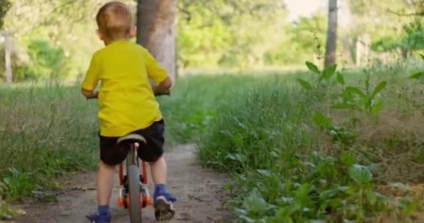 Bambino Bicicletta Attraverso Foresta Durante Vacanze Estive Ragazzo Diverte Guidare — Video Stock