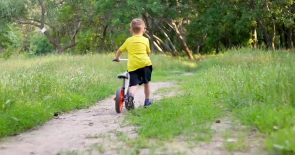 Παιδί Βόλτα Ποδήλατο Μέσα Από Δάσος Για Τις Καλοκαιρινές Διακοπές — Αρχείο Βίντεο