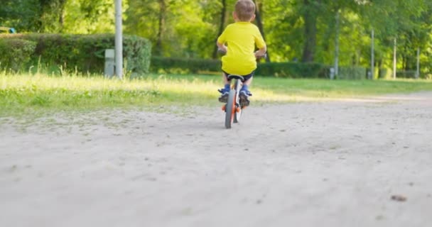 Barncykling Stadspark Sommarsemestrar Ungen Njuta Att Köra Cykeln Utomhus Barn — Stockvideo