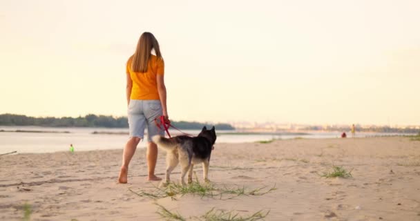 Junge Schöne Frau Beim Abendspaziergang Mit Ihrem Hund Strand Sommer — Stockvideo