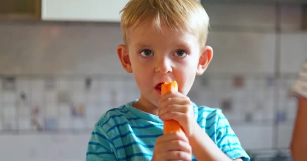 Netter Kleiner Junge Isst Karotte Konzept Der Gesunden Ernährung Hochwertiges — Stockvideo