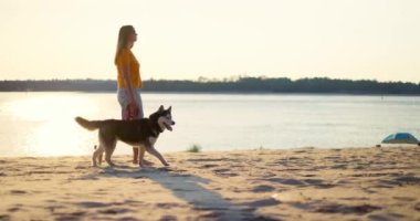 Genç bir kadın yazın evcil köpeğiyle sahilde akşam yürüyüşünden zevk alıyor. Yüksek kalite 4k görüntü