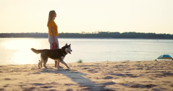 Junge Frau Beim Abendspaziergang Mit Hund Strand Sommer Hochwertiges Filmmaterial — Stockvideo