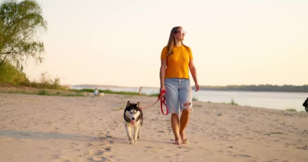 若い女性は夏にビーチでペット犬と散歩を楽しんでいます 高品質の4K映像 — ストック動画
