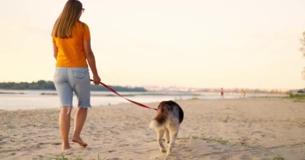 Mujer Joven Disfrutando Paseo Nocturno Con Perro Mascota Playa Verano — Vídeo de stock