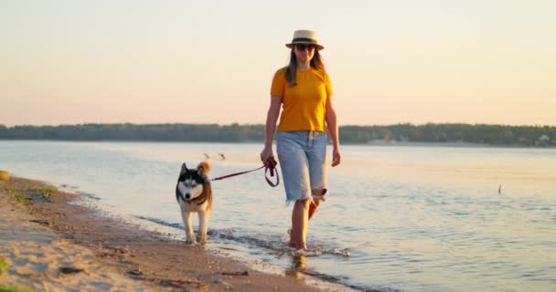 Frau Geht Mit Hund Strand Bei Sonnenuntergang Spazieren Sibirischer Husky — Stockvideo
