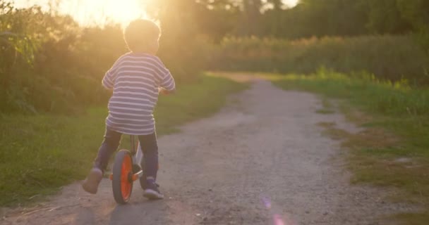 Enfant Garçon Fait Vélo Équilibre Dans Parc Municipal Joyeux Garçon — Video