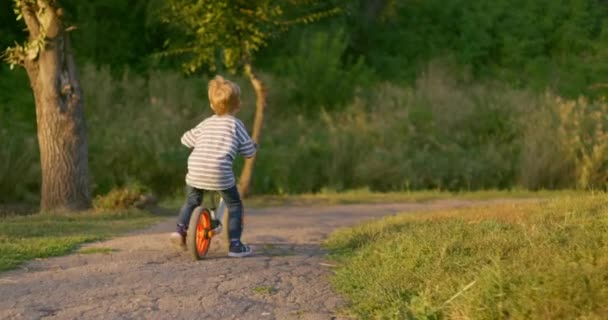 Ein Kleiner Junge Fährt Laufrad Einem Stadtpark Glücklicher Junge Der — Stockvideo