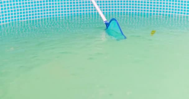 Piscina Moldura Limpeza Com Uma Rede Skimmer Rede Escumadeira Captura — Vídeo de Stock