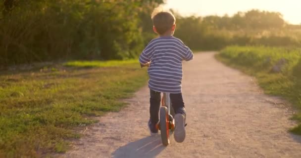 Chłopiec Jeździ Rowerze Biegowym Parku Miejskim Szczęśliwy Chłopiec Jazda Rowerze — Wideo stockowe