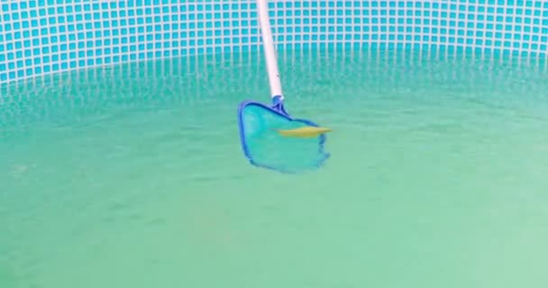 Καθαρισμός Πλαίσιο Πισίνα Ένα Δίχτυ Skimmer Δίχτυ Skimmer Συλλαμβάνει Πεσμένα — Αρχείο Βίντεο