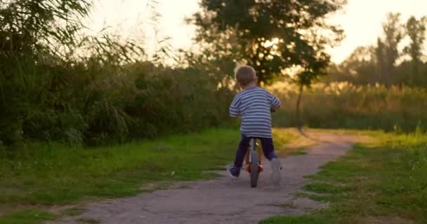 Bir Çocuk Şehir Parkında Dengeli Bisiklet Sürüyor Bisiklete Binen Mutlu — Stok video