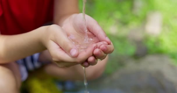 子供の手は蛇口から水を集め 水は水道から手中に流れます 高品質の4K映像 — ストック動画