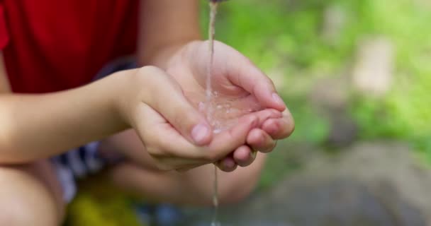 子供の手は蛇口から水を集め 水は水道から手中に流れます 高品質の4K映像 — ストック動画