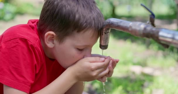 Menino Bebendo Água Água Torneira Livre Imagens Alta Qualidade — Vídeo de Stock