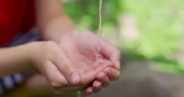 Childs Mãos Coleta Água Uma Torneira Água Limpa Flui Para — Vídeo de Stock