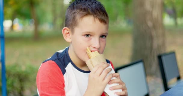 Child Boy Eats Hot Dog Sandwich Park Outdoors Sunny Day — Stock Video
