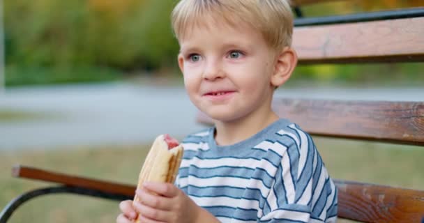 Der Junge Isst Einem Sonnigen Tag Park Ein Hot Dog — Stockvideo