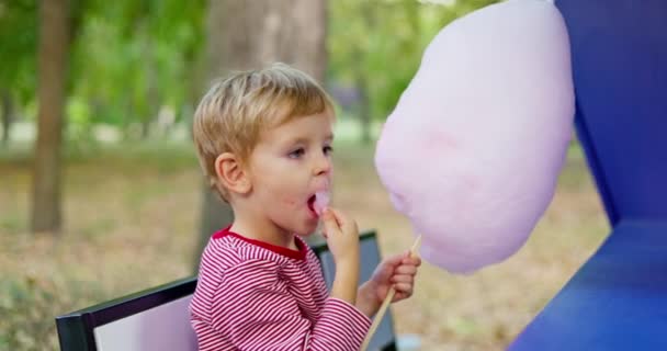 Kleine Jongen Eet Roze Suikerspin Het Park Hoge Kwaliteit Beeldmateriaal — Stockvideo