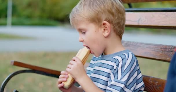 Der Junge Isst Einem Sonnigen Tag Park Ein Hot Dog — Stockvideo