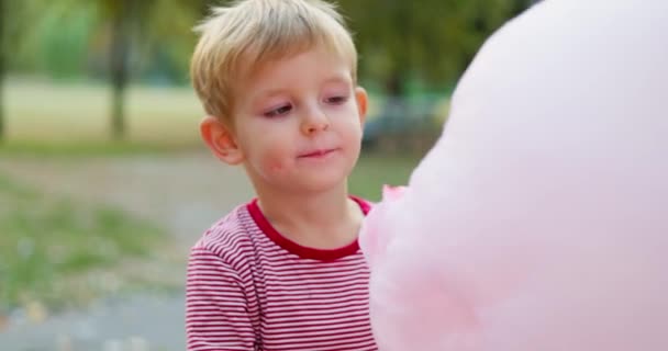 Niño Está Comiendo Algodón Rosa Parque Imágenes Alta Calidad — Vídeos de Stock