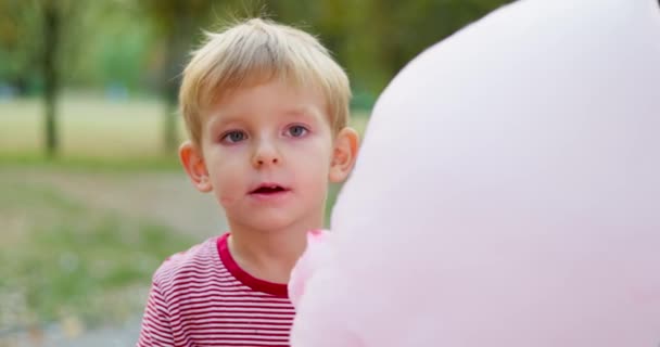 Rapazinho Está Comer Algodão Rosa Doce Parque Imagens Alta Qualidade — Vídeo de Stock