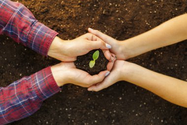Aile annesi ve çocuğu ellerinde genç bir filiz tutuyor. Üst Manzara. Dünya Günü tatil konsepti