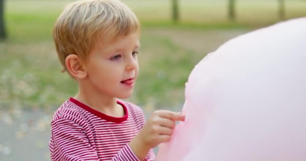 Little Boy Eating Pink Cotton Candy Park High Quality Footage — Stock Video
